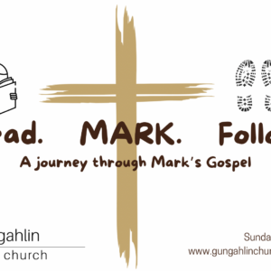 Figs, Grapes and a Stone (Mark 11:27 – 12:12)