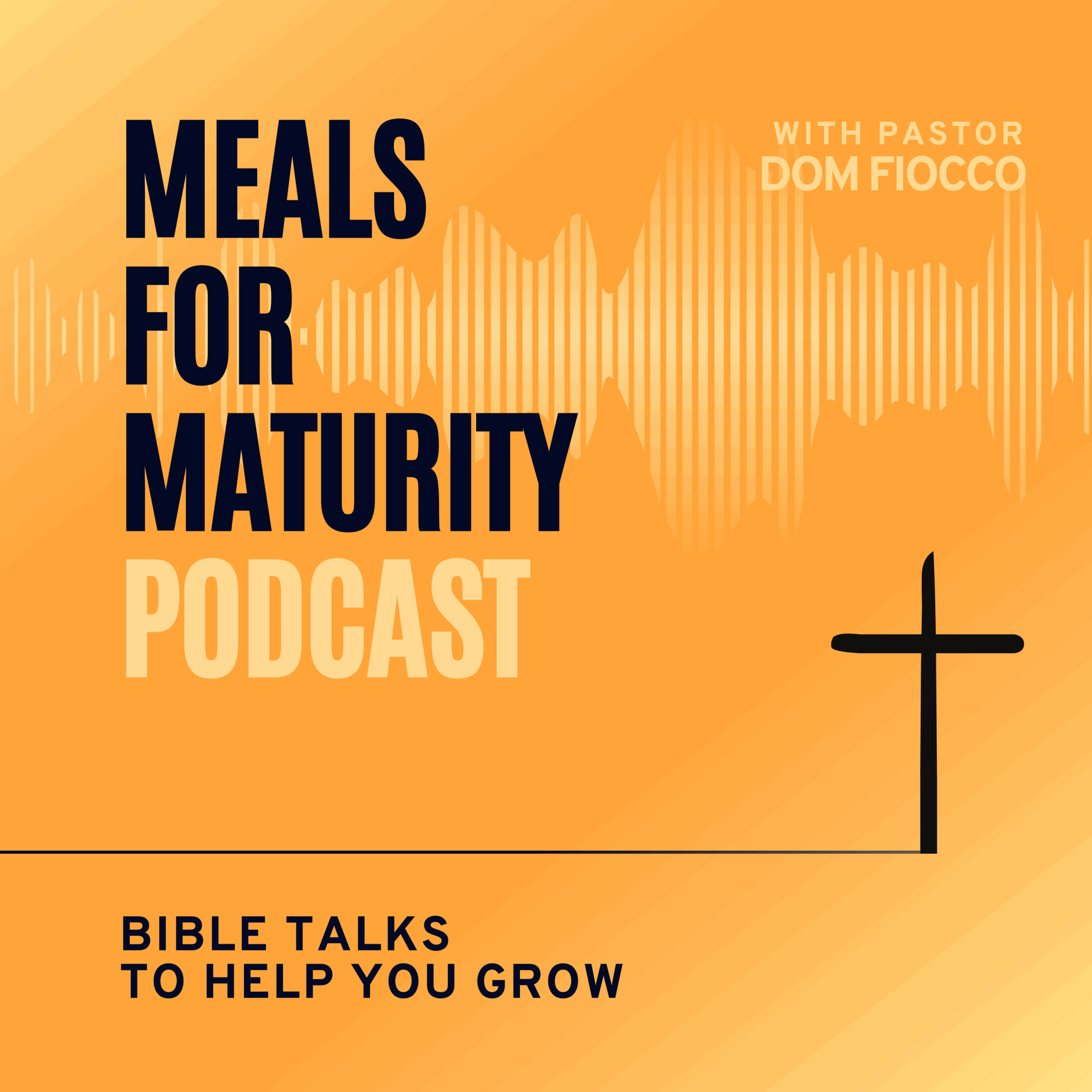 Meals for Maturity – Series 9.4: Parables – Luke 12.13 – 21 episode artwork